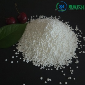 Calcium Nitrate Granular/Calcium Ammonium Nitrate