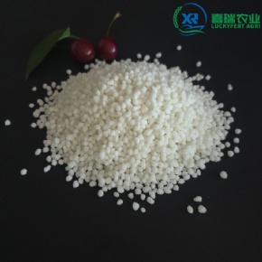 Granular Ammonium Sulphate (Caprolactam Grade)